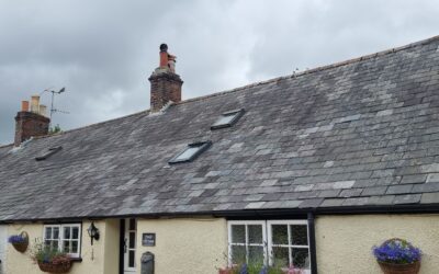 Don’t Delay: The Importance of Timely Roof Repairs